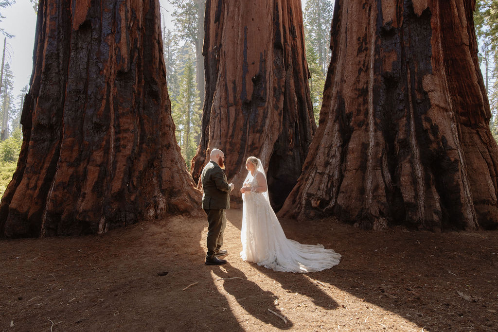 A bride and groom stand holding hands in front of giant redwood trees in a forest for their elopement in Yosemite and Sequoia