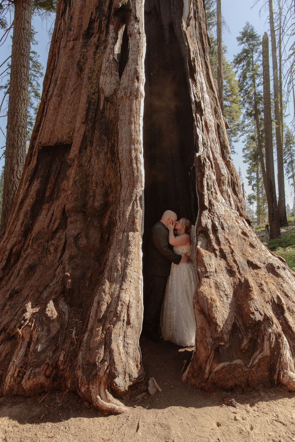 A Multi-Day Sequoia and Yosemite Elopement Adventure