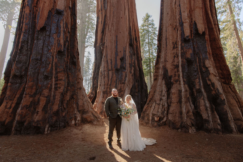 A bride and groom stand holding hands in front of giant redwood trees in a forest for their elopement in Yosemite and Sequoia