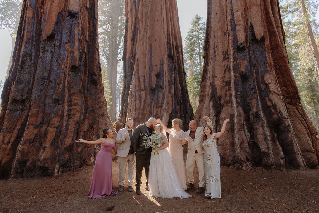 A wedding party poses for a photo in front of giant sequoia trees in a forest, with the bride and groom at the center.