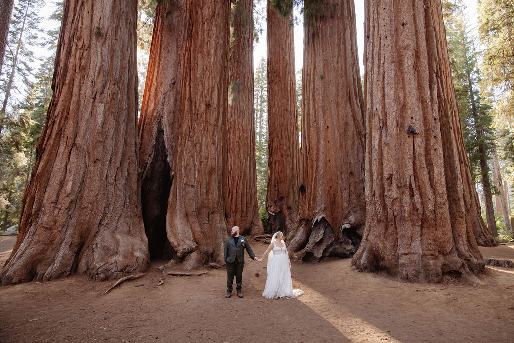 A bride and groom stand holding hands in front of giant redwood trees in a forest for their elopement in Yosemite and Sequoia