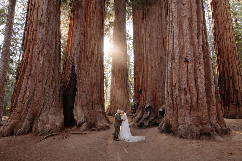 A bride and groom stand holding hands in front of giant redwood trees in a forest for their elopement in Yosemite and Sequoia