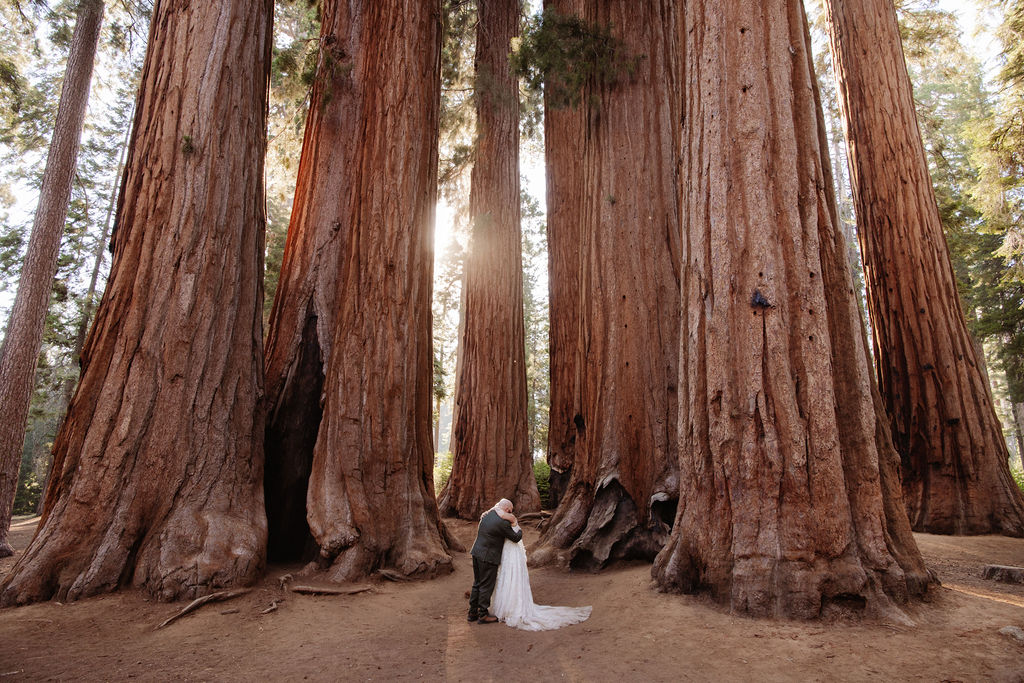 A bride and groom stand holding hands in front of giant redwood trees in a forest for their elopement in Yosemite and Sequoia