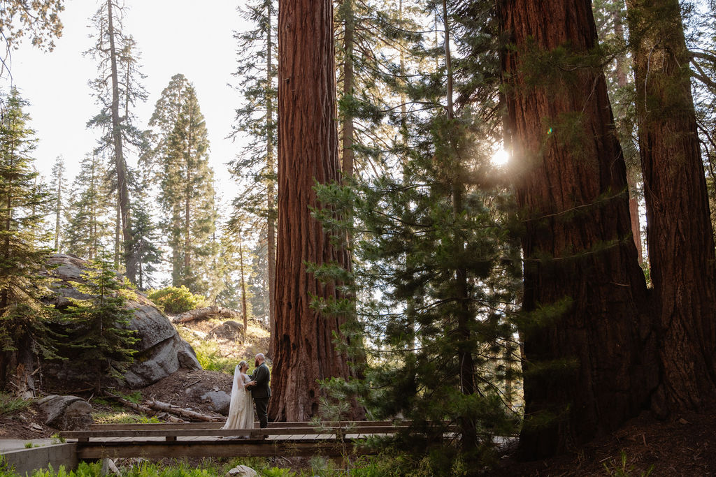 A bride and groom walk on a forest path surrounded by tall trees and sunlight filtering through the branches.