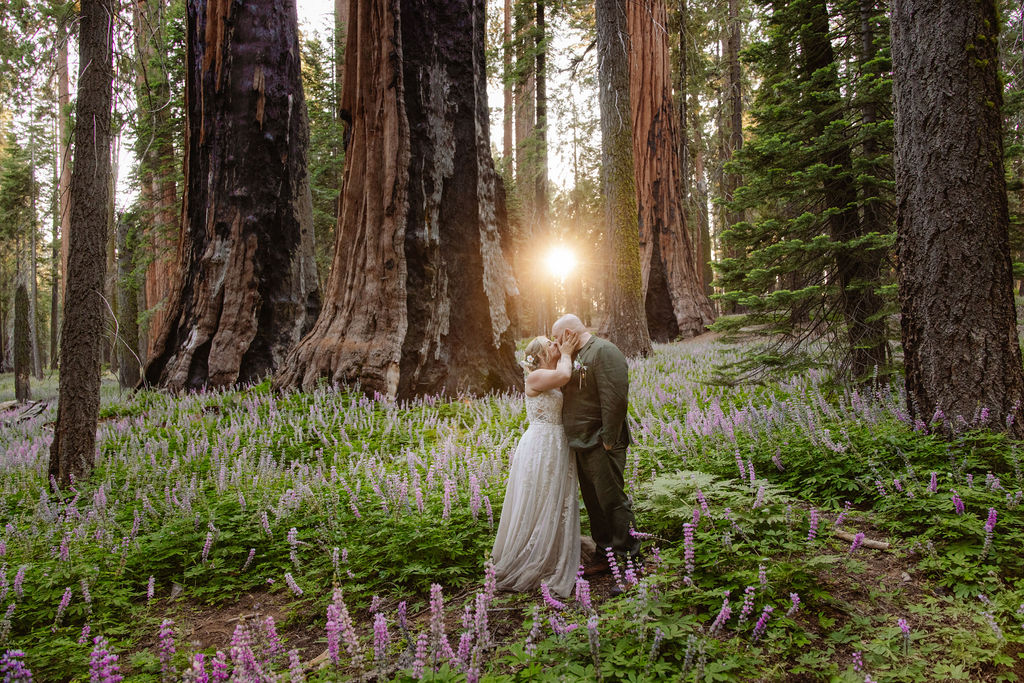 A bride and groom stand together in a forest with tall trees and purple wildflowers, sunlight shining through the trees behind them.