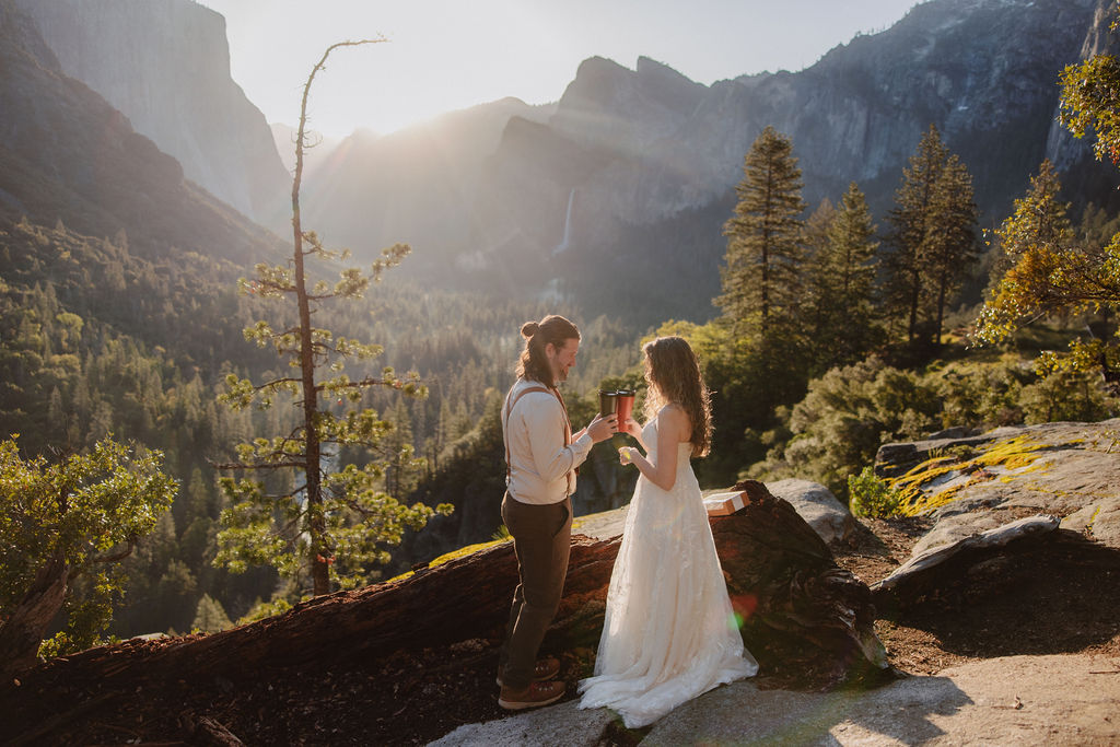 A couple dressed in wedding attire sits on a log overlooking a scenic mountain valley with trees and sunlight in the background for their unique elopement