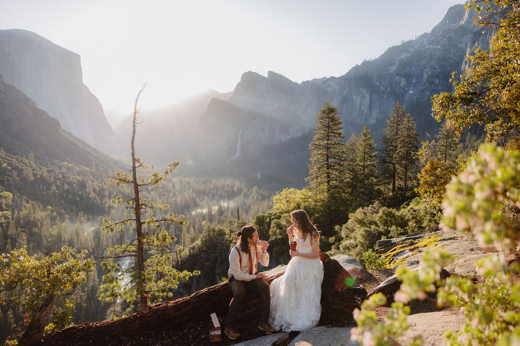 A couple dressed in wedding attire sits on a log overlooking a scenic mountain valley with trees and sunlight in the background for their unique elopement