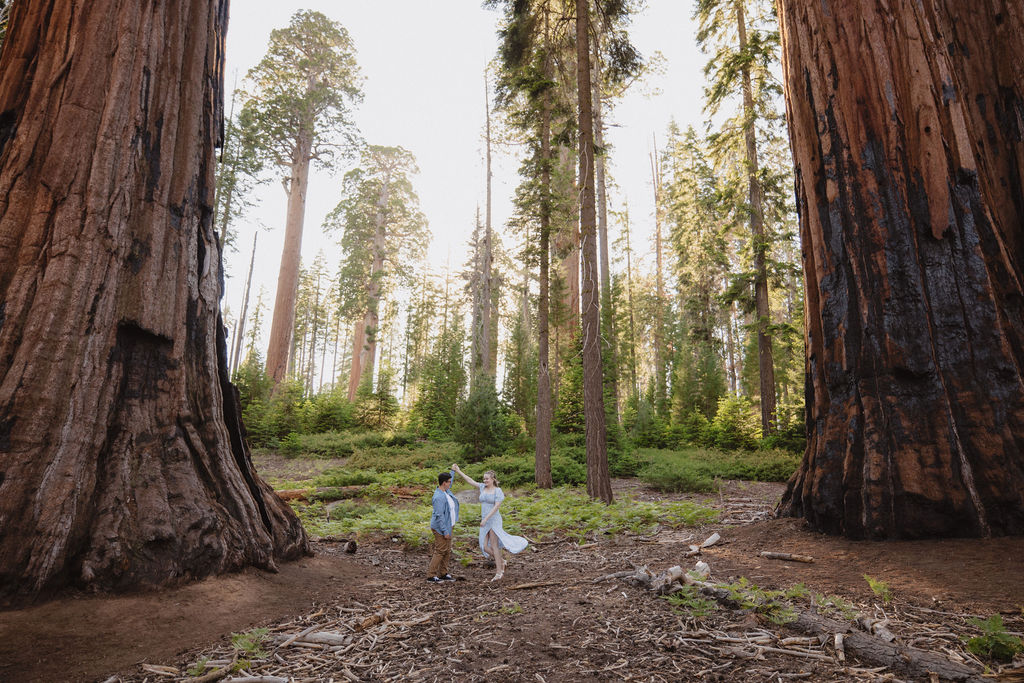 Two people stand between giant sequoia trees in a forest, surrounded by green foliage and tall tree trunks in the background for their Sequoia National Park Engagement Photos