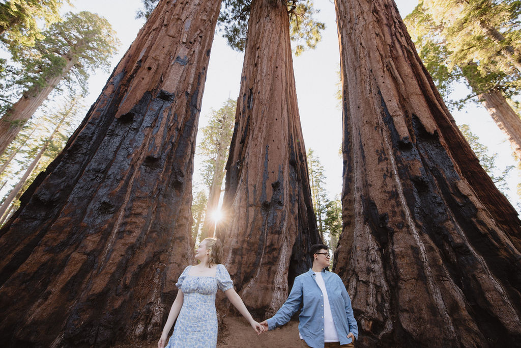 Two people stand between giant sequoia trees in a forest, surrounded by green foliage and tall tree trunks in the background for their Sequoia National Park Engagement Photos