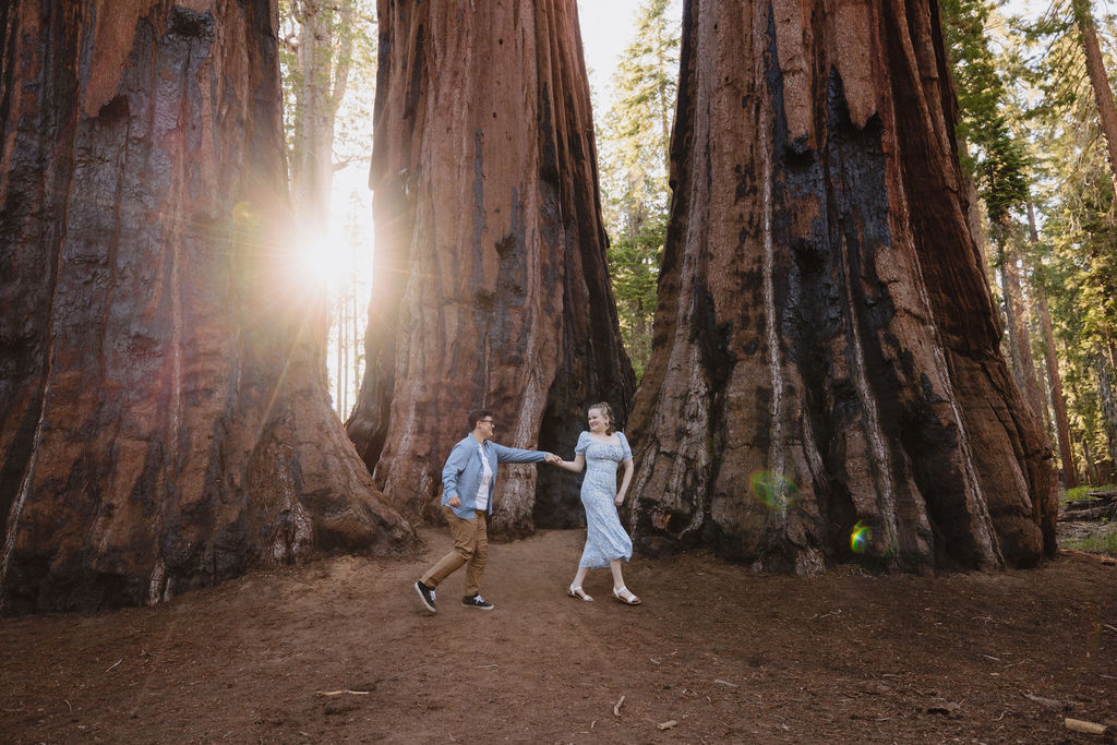 Two people stand between giant sequoia trees in a forest, surrounded by green foliage and tall tree trunks in the background for their Sequoia National Park Engagement Photos