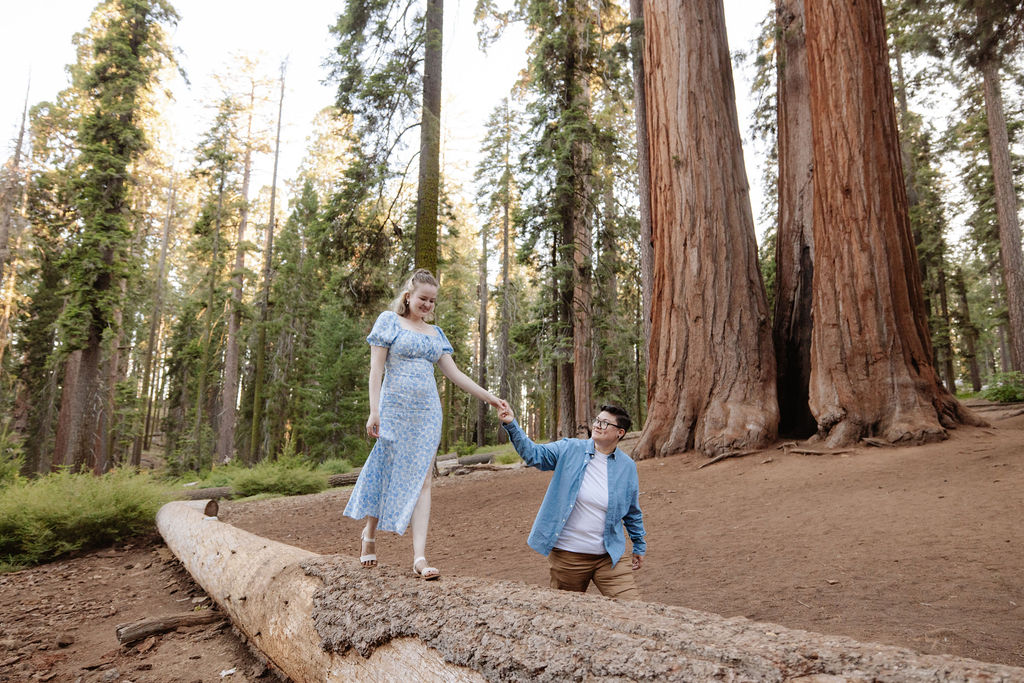 Two people stand between giant sequoia trees in a forest, surrounded by green foliage and tall tree trunks in the background for their Sequoia National Park Engagement Photos