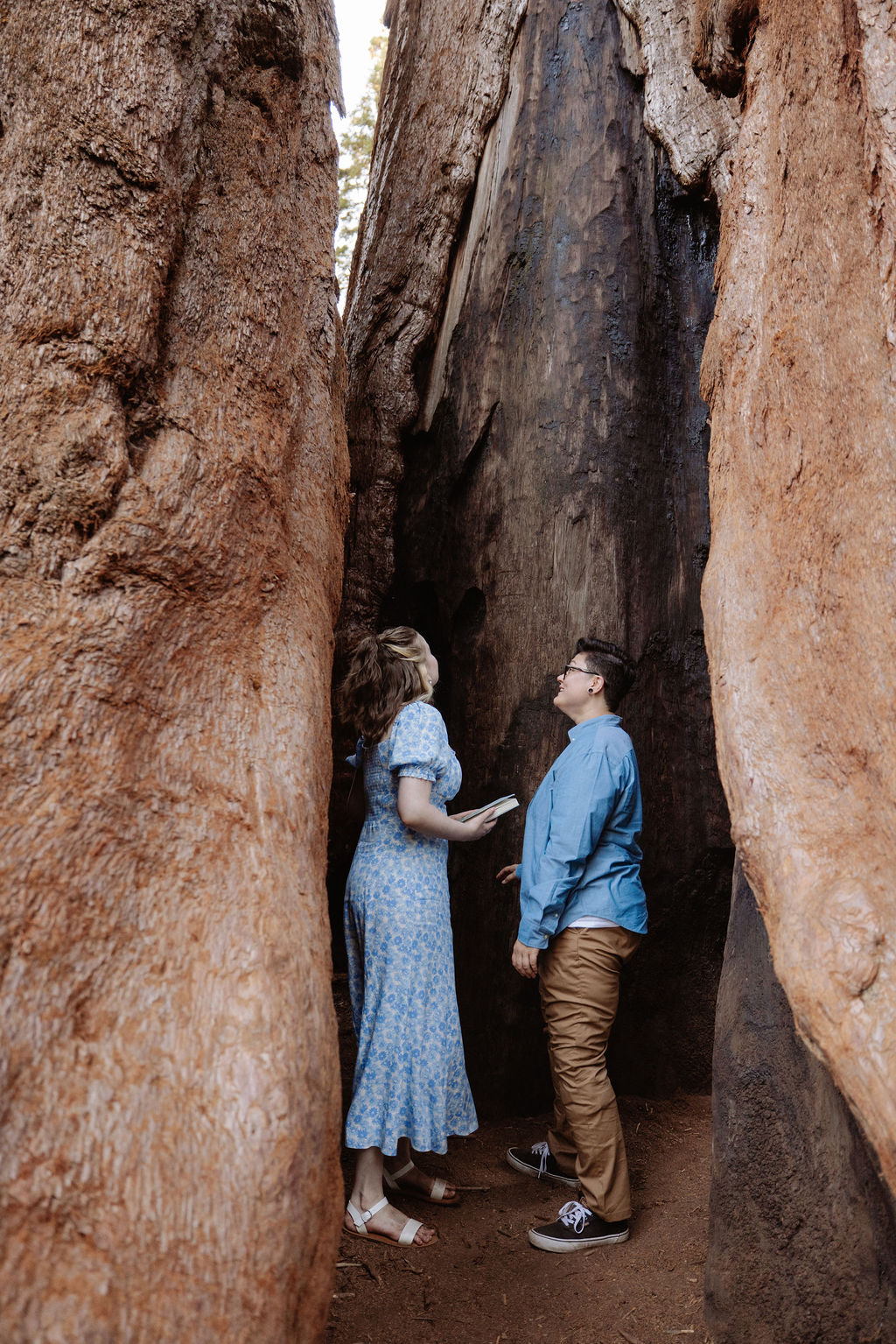 Two people stand between giant sequoia trees in a forest, surrounded by green foliage and tall tree trunks in the background for their Sequoia National Park Engagement Photos