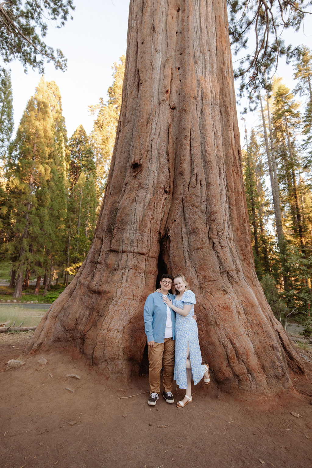 Two people stand between giant sequoia trees in a forest, surrounded by green foliage and tall tree trunks in the background for their Sequoia National Park Engagement Photos