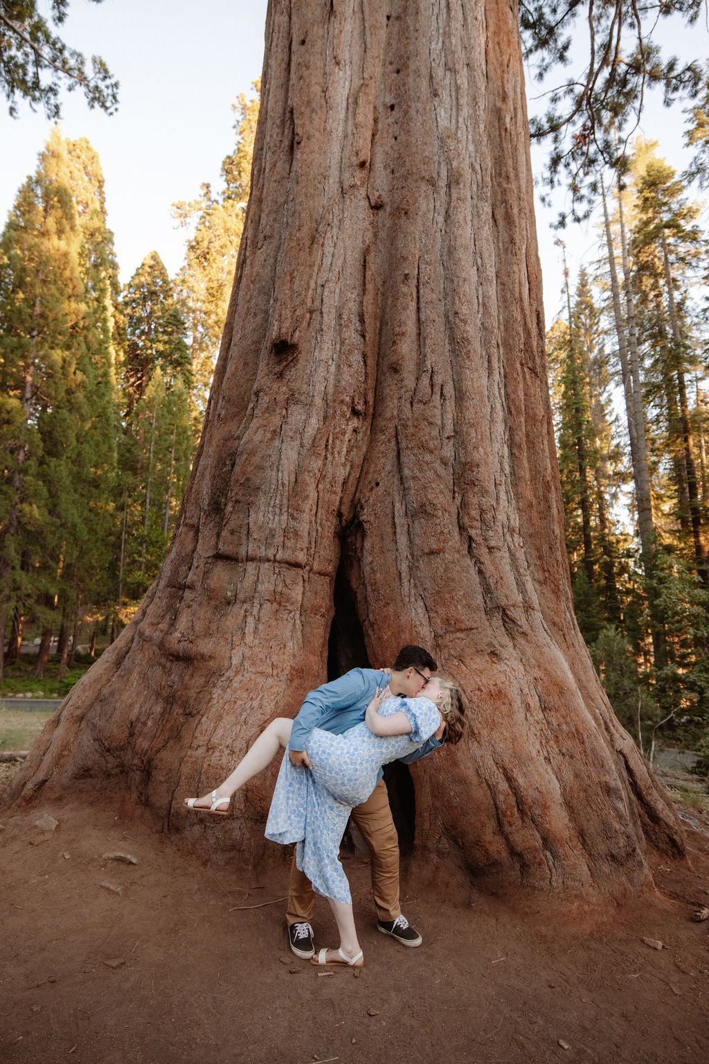 Two people stand between giant sequoia trees in a forest, surrounded by green foliage and tall tree trunks in the background for their Sequoia National Park Engagement Photos