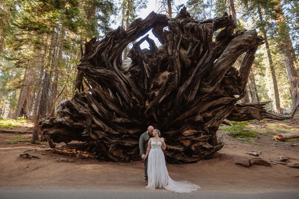 A couple in wedding attire stands holding hands in front of a large, exposed tree root in a forest setting.