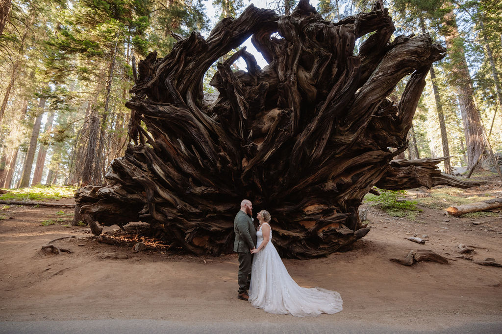 A couple in wedding attire stands holding hands in front of a large, exposed tree root in a forest setting.