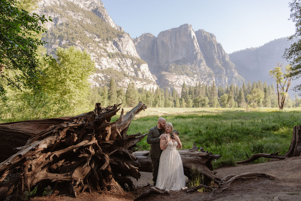 A couple in wedding attire stands near a large fallen tree with mountains and forest in the background under a clear sky.