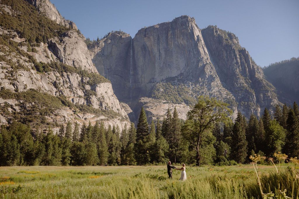 A couple in wedding attire walks through a grassy field with tall pine trees and a large rocky mountain in the background under a clear sky.