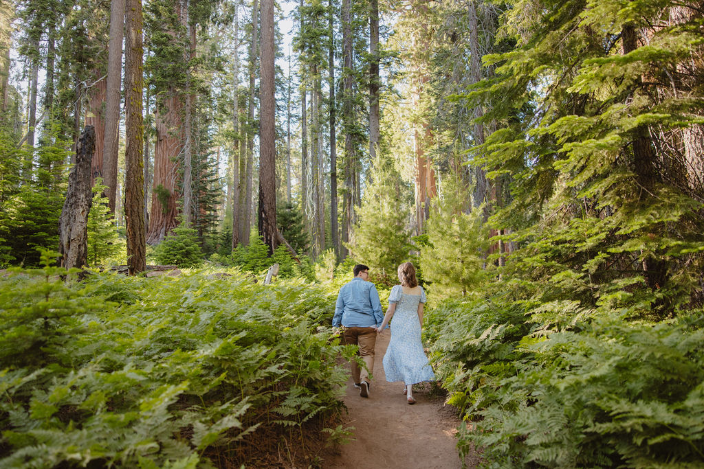 A man and woman walk hand in hand on a dirt path through a forest with tall trees and lush greenery.