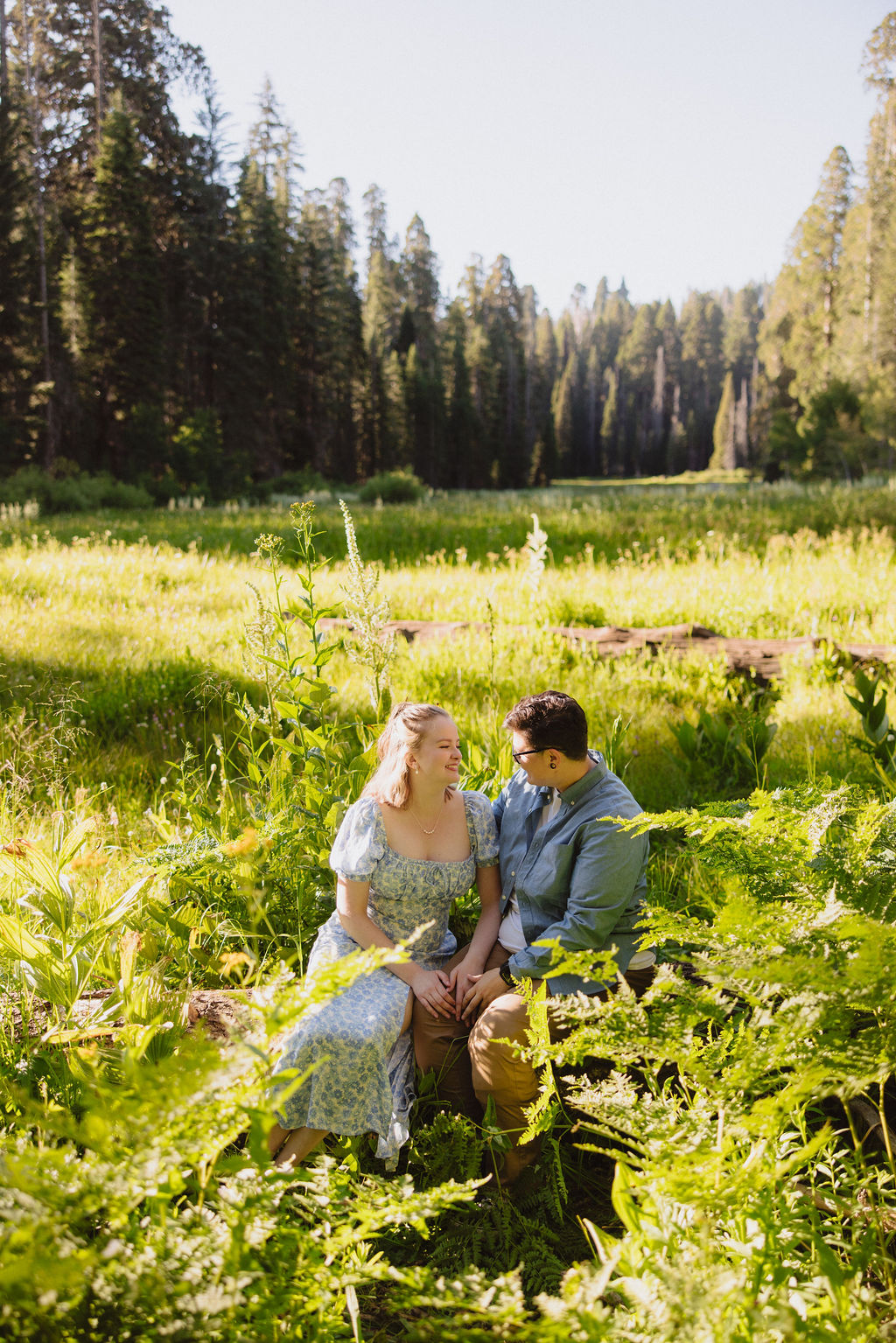 Two people stand in a sunlit forest clearing; one is helping the other step down from a log as they hold hands among tall green plants.