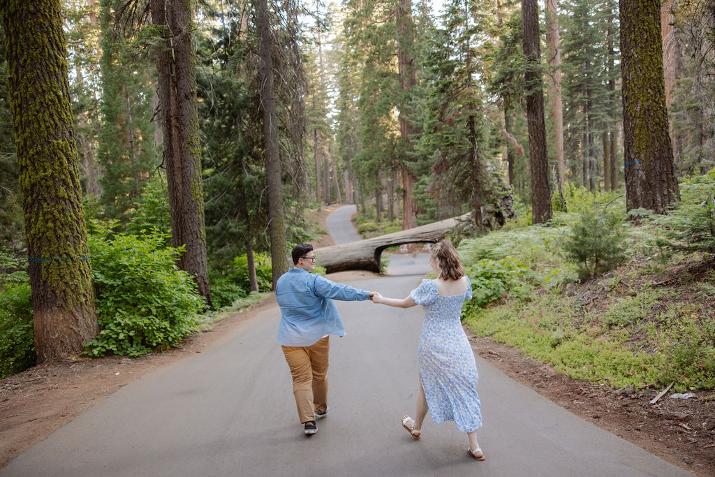 A couple walks hand in hand on a paved path through a forest, heading toward a large fallen tree blocking the road.
