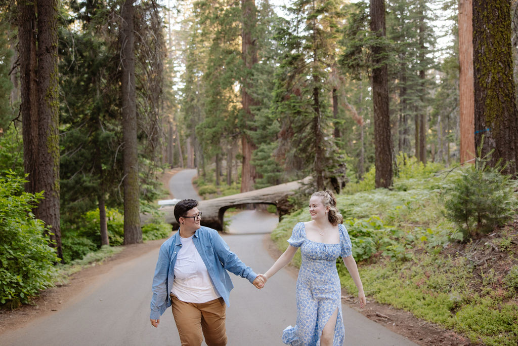 A couple walks hand in hand on a paved path through a forest, heading toward a large fallen tree blocking the road.