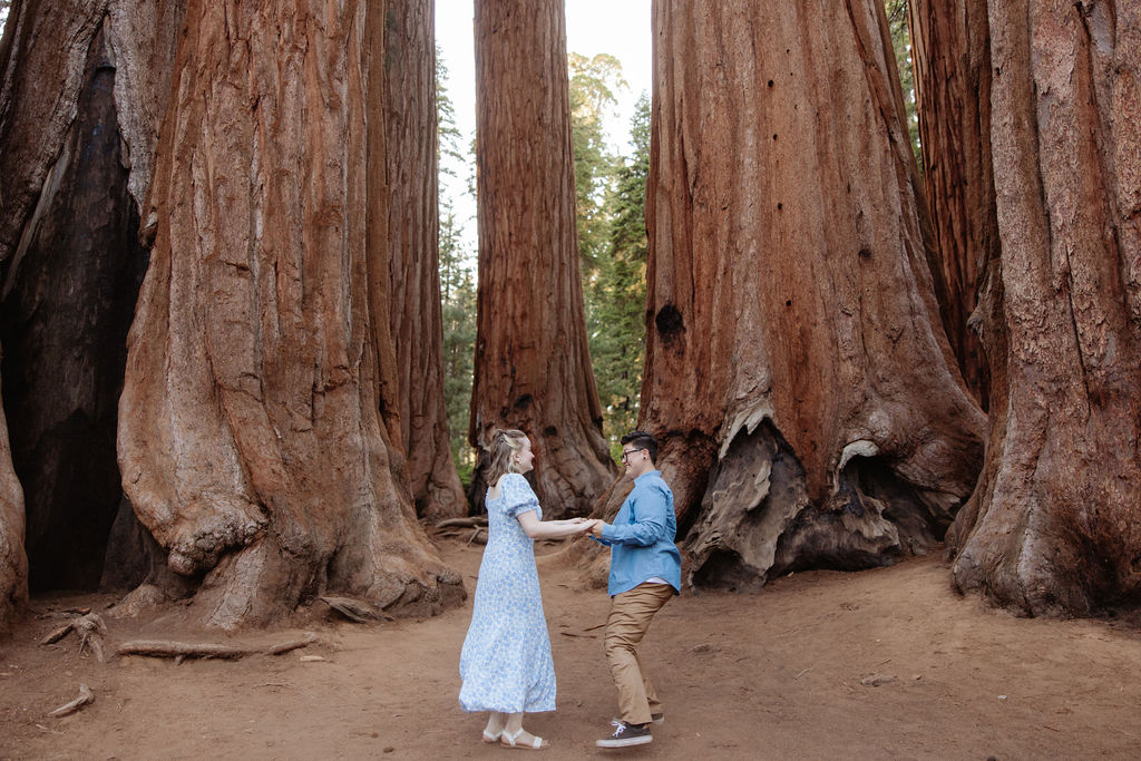 A couple walks hand in hand on a paved path through a forest, heading toward a large fallen tree blocking the road.