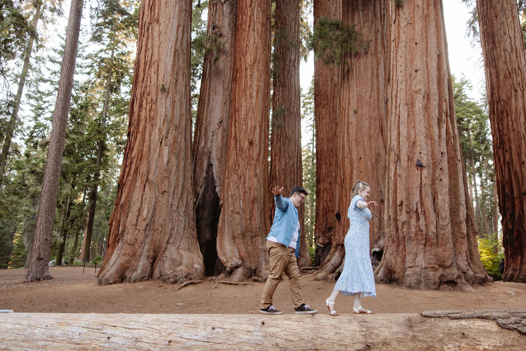 A couple embraces in front of tall redwood trees in an outdoor forest setting.
