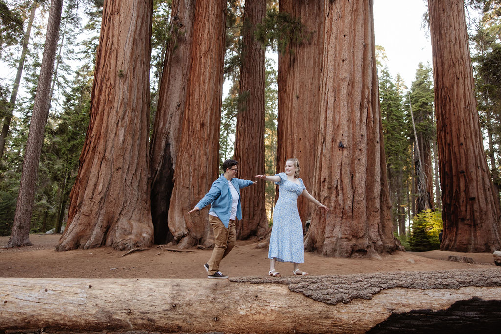 A couple embraces in front of tall redwood trees in an outdoor forest setting.