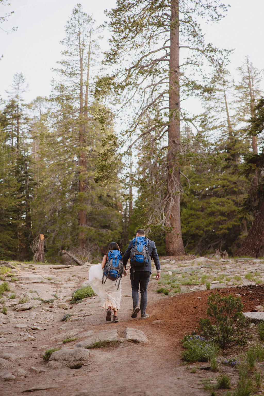 Two people with backpacks walk on a rocky forest trail surrounded by tall trees.