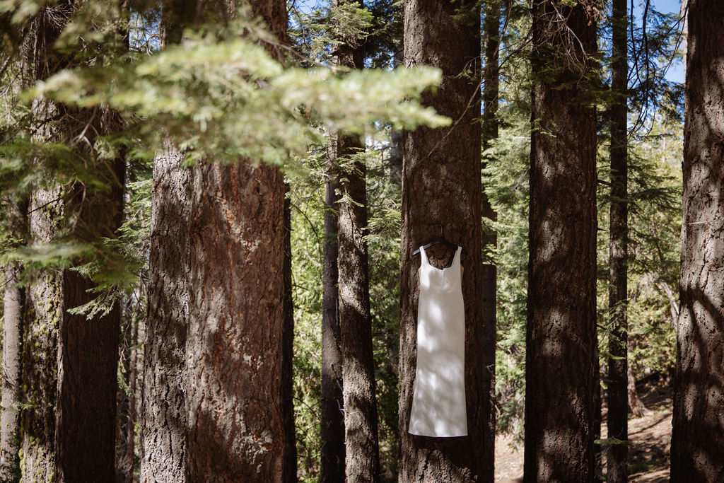 A white sleeveless dress hangs on a tree trunk in a forest with tall trees and sunlight filtering through the branches.