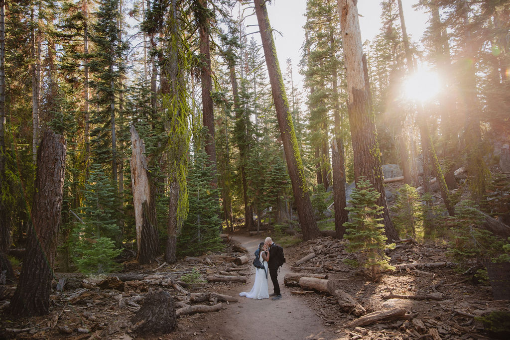 A bride and groom stand embracing in a sunlit forest clearing, surrounded by tall trees and lush green foliage.