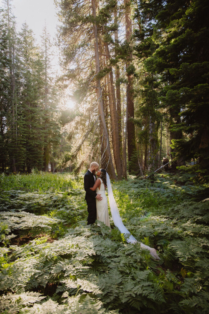 A bride and groom stand embracing in a sunlit forest clearing, surrounded by tall trees and lush green foliage.