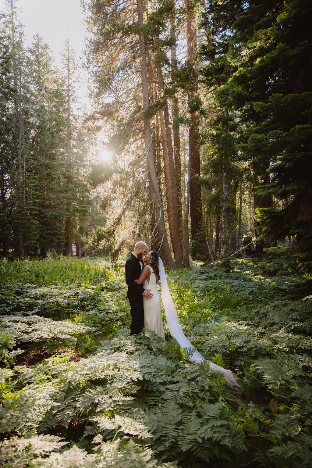 A bride and groom stand embracing in a sunlit forest clearing, surrounded by tall trees and lush green foliage.