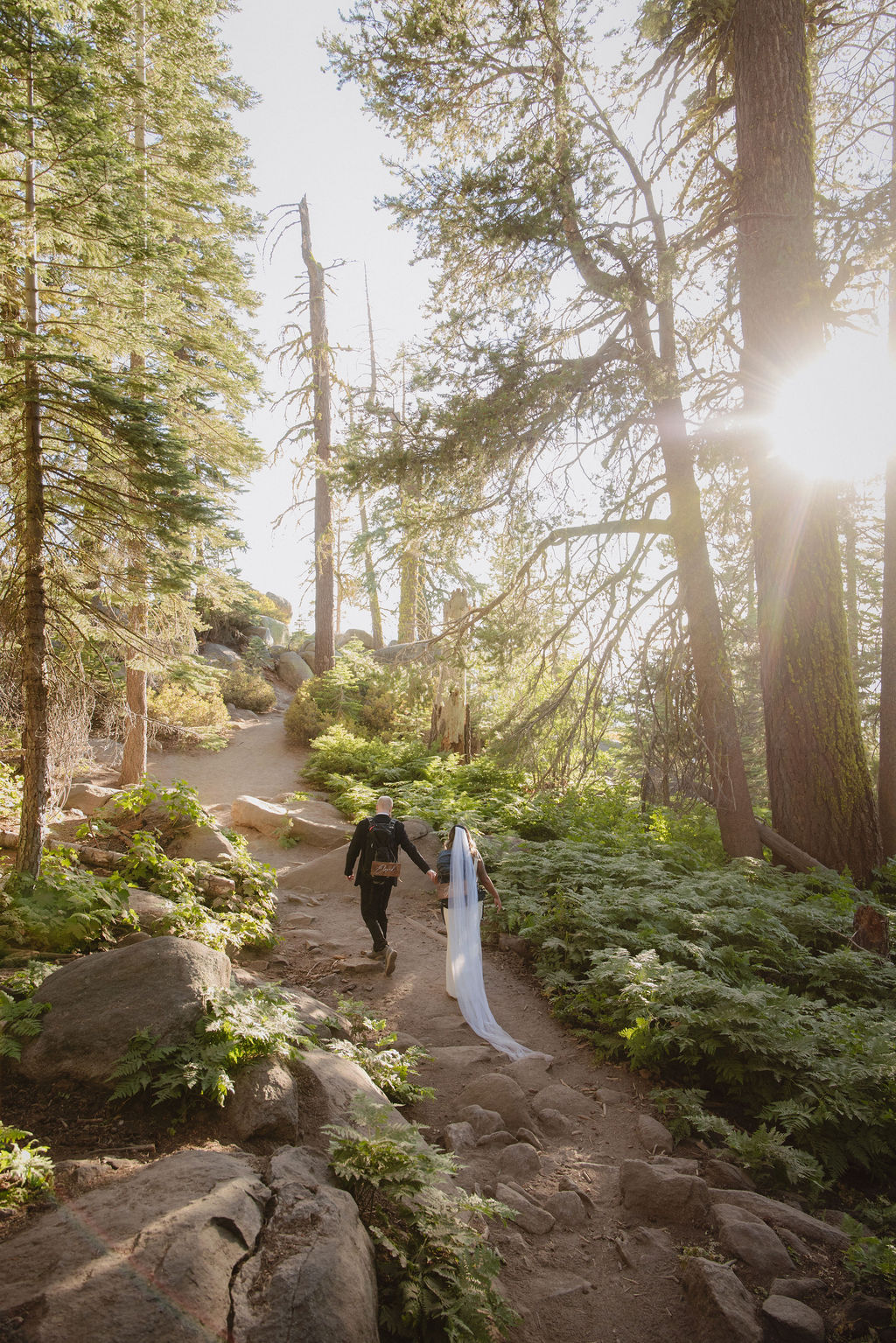 A bride and groom stand embracing in a sunlit forest clearing, surrounded by tall trees and lush green foliage.