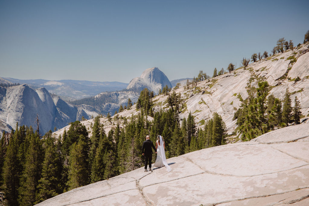 A bride and groom stand on a rocky slope surrounded by pine trees with mountains in the background under a clear blue sky.