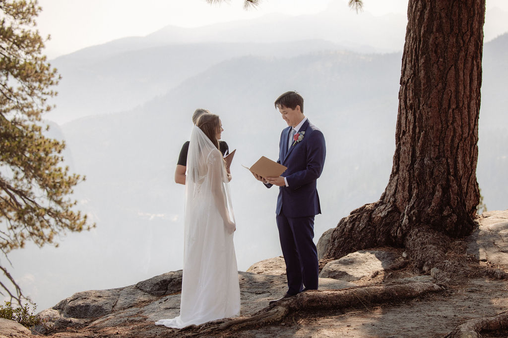 A bride and groom stand on a rocky ledge under a tree, exchanging vows outdoors with mountains in the background.