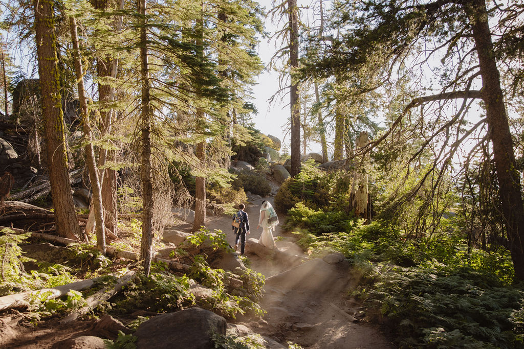 A bride and groom walk hand in hand through a forest, surrounded by tall trees and green vegetation.