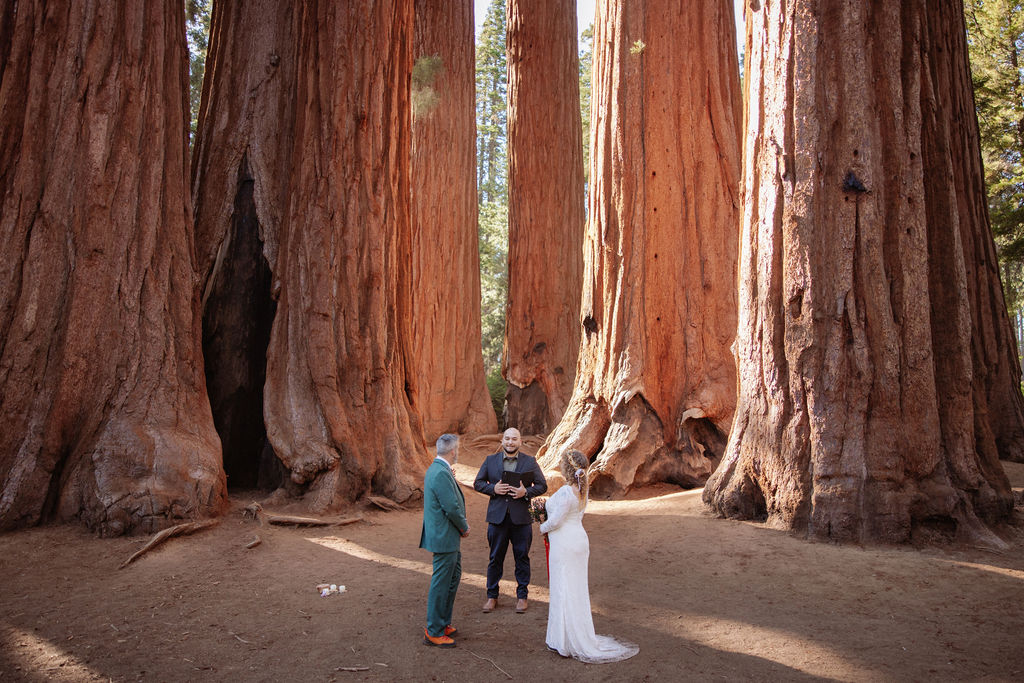 A couple stands with an officiant among giant redwood trees during a wedding ceremony in a forest setting taken. y a sequoia elopement photographer