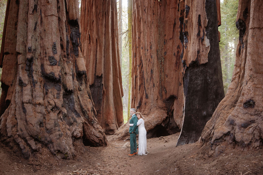 A couple stands embraced on a forest path between towering redwood trees taken by a sequoia elopement photographer
