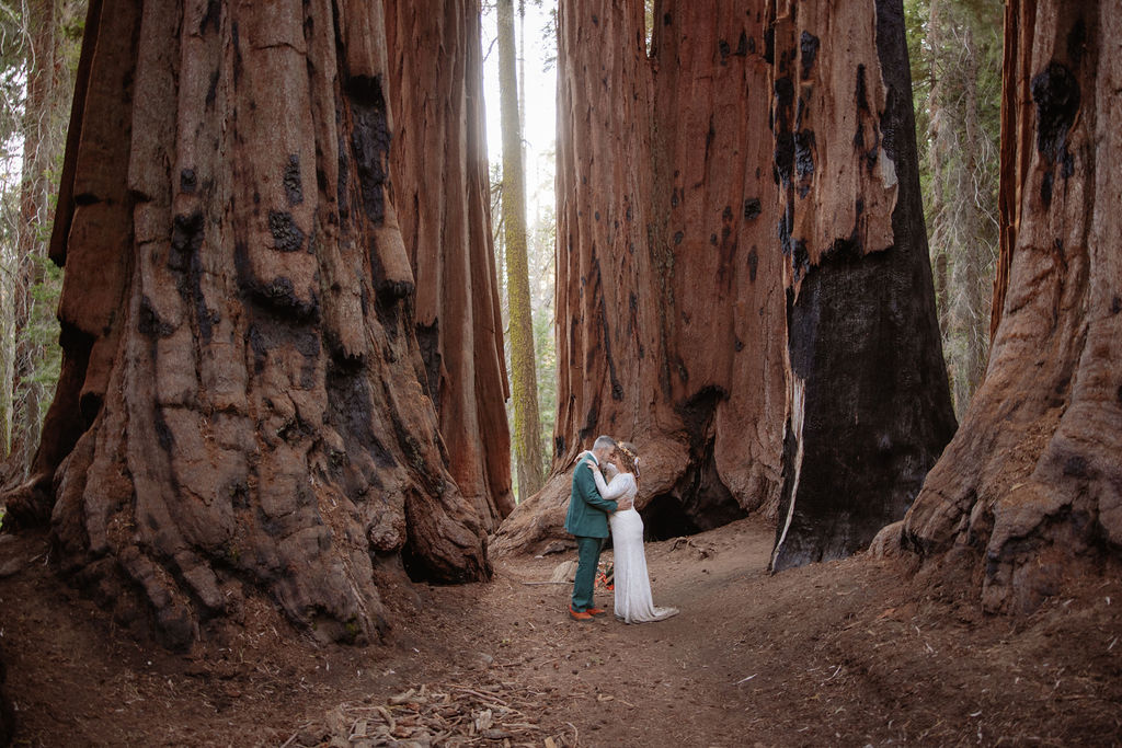 A couple stands embraced on a forest path between towering redwood trees taken by a sequoia elopement photographer