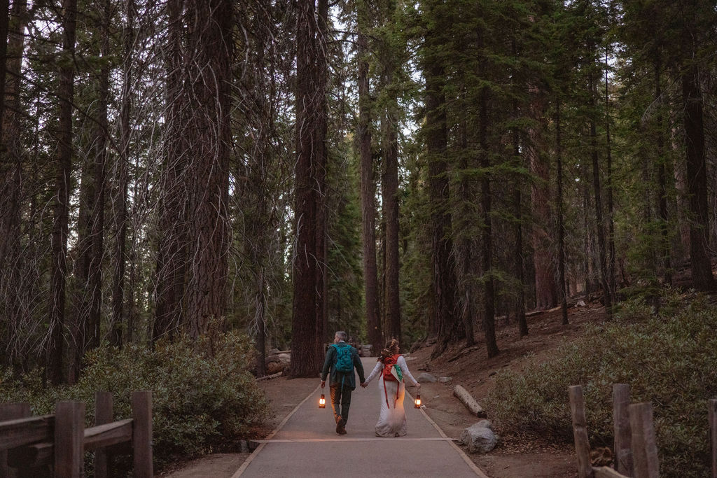 A paved path winds through a forest of tall trees, with two people and a dog walking in the distance. Large rocks border the path.
