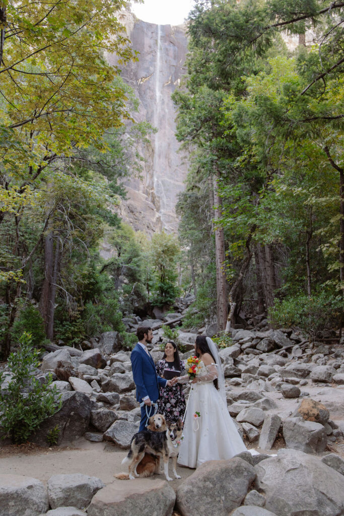 A couple stands with an officiant and a dog in a rocky, forested area beneath a tall waterfall, surrounded by trees and greenery.