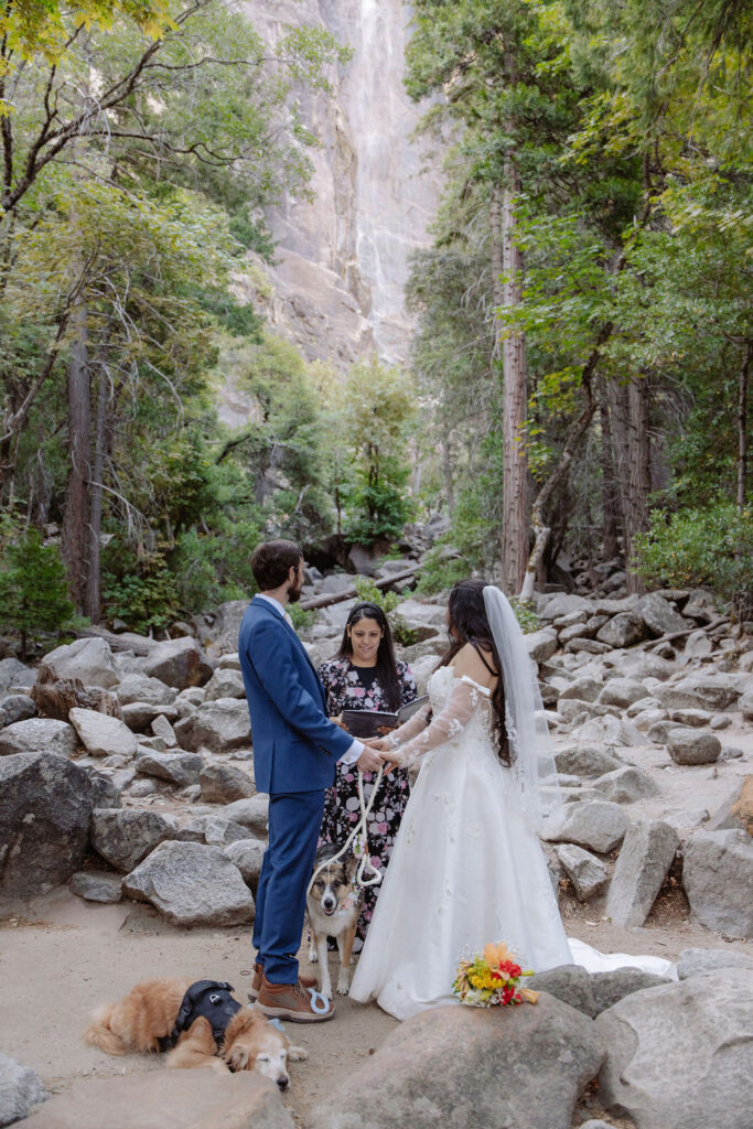 A couple stands with an officiant and a dog in a rocky, forested area beneath a tall waterfall, surrounded by trees and greenery.