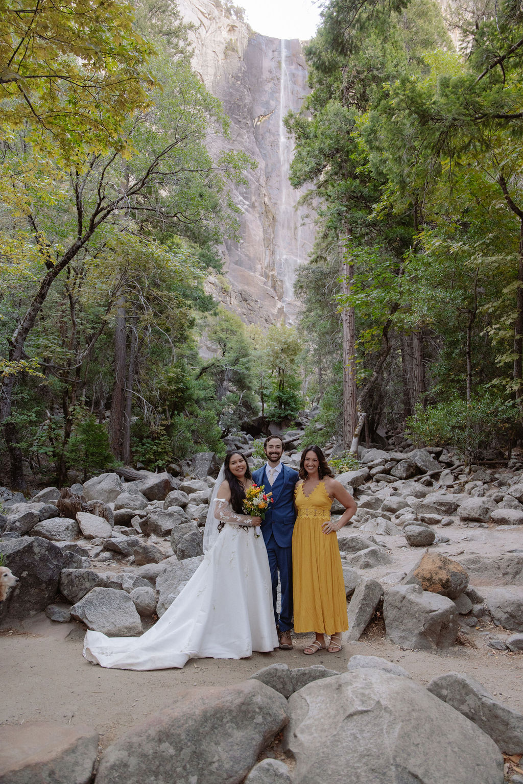 A bride and groom stand facing each other holding hands during an outdoor wedding ceremony, with an officiant reading from a book. Guests and two dogs are present in the background for a wedding at Yosemite