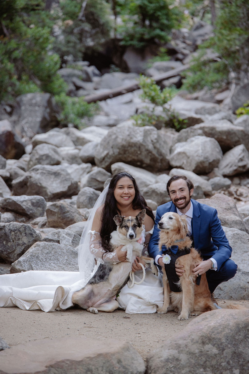 A bride and groom stand facing each other holding hands during an outdoor wedding ceremony, with an officiant reading from a book. Guests and two dogs are present in the background for a wedding at Yosemite