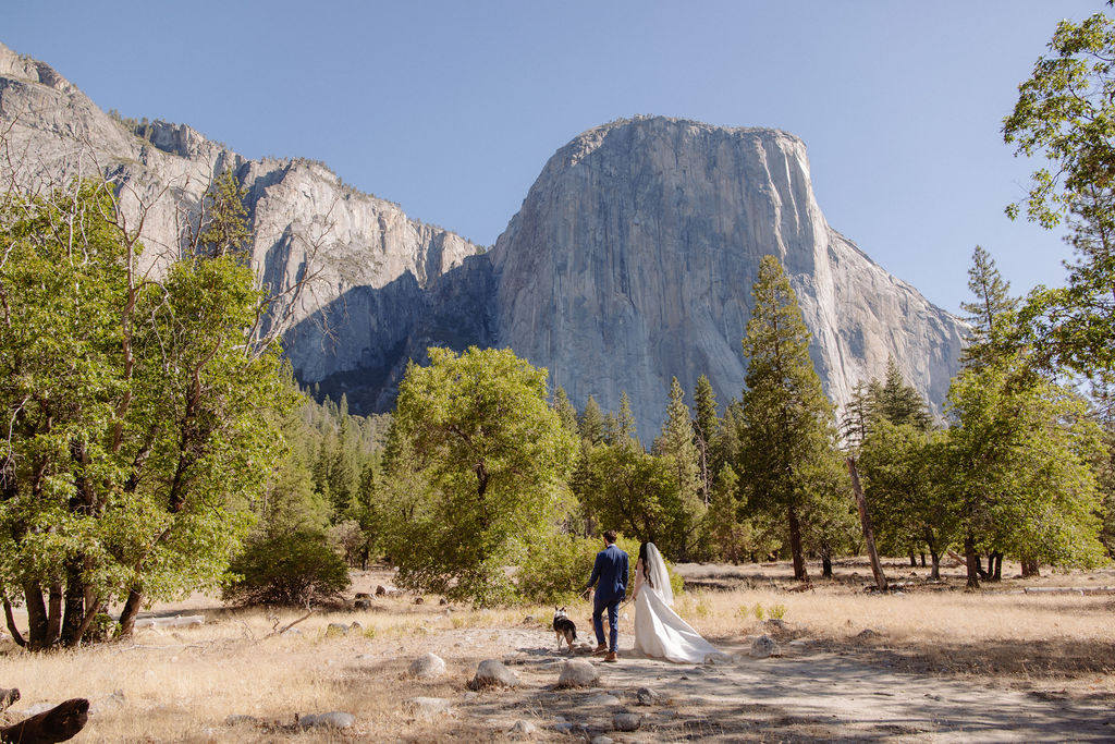 A bride and groom stand outdoors in front of a mountain and trees, accompanied by two dogs near a river on a sunny day.