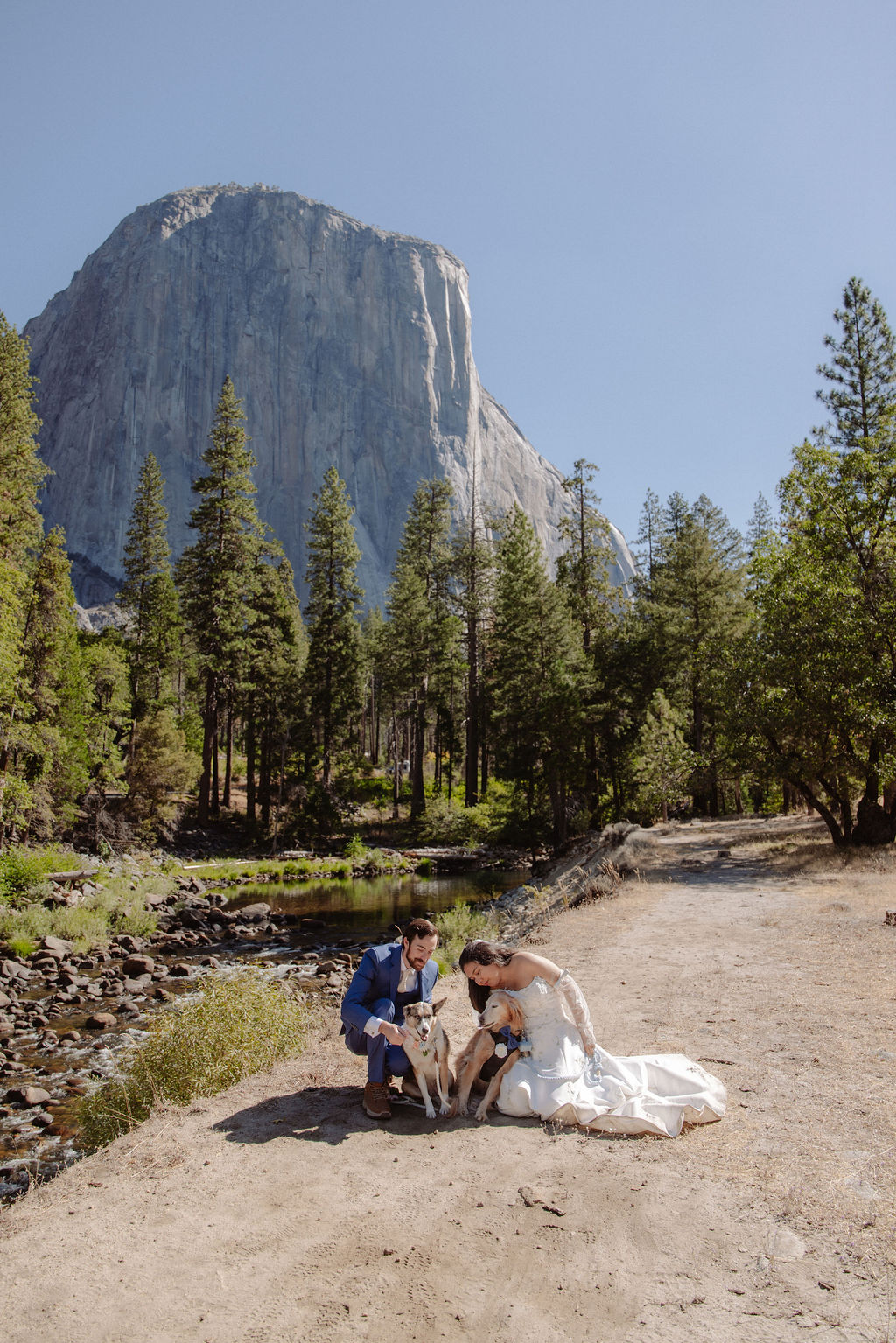 A bride and groom stand outdoors in front of a mountain and trees, accompanied by two dogs near a river on a sunny day.