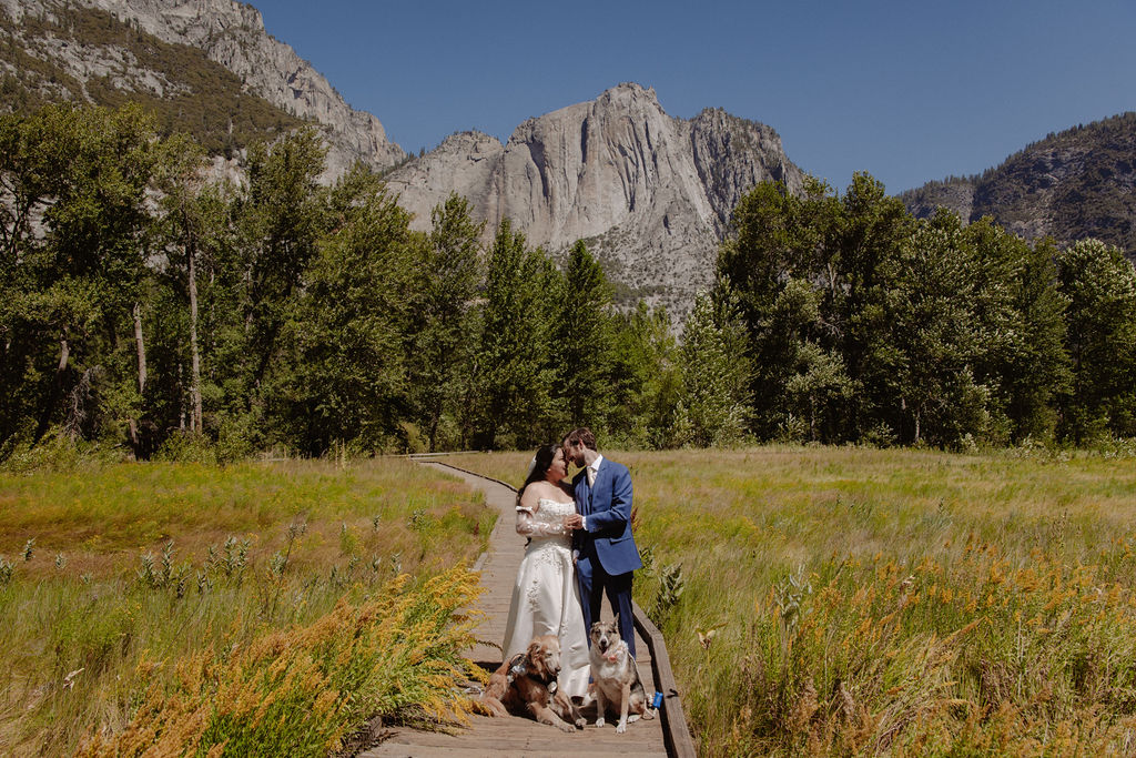 A bride and groom stand together, holding hands and touching foreheads, on a sandy area with mountains and trees in the background for a wedding at Yosemite