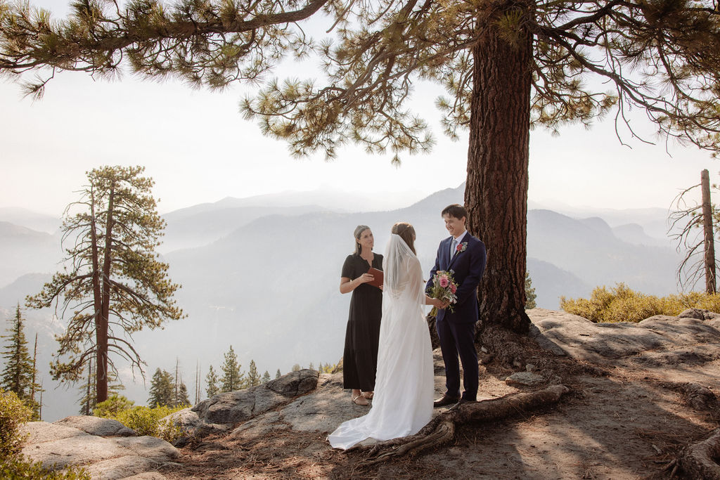 A small group stands under a tree during an outdoor wedding ceremony with mountains and trees in the background.